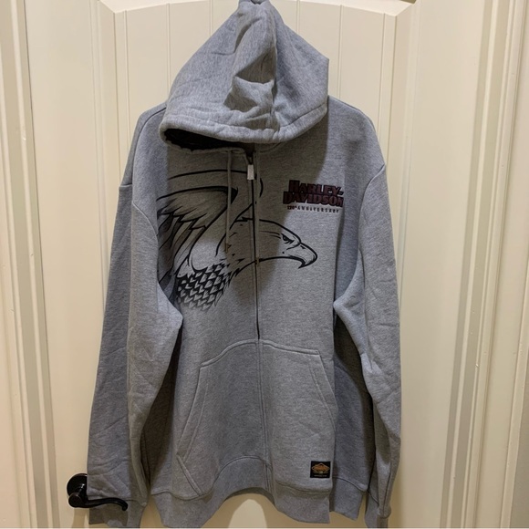 Harley-Davidson Men's 120th Anniversary Zip-Up Hoodie - Heather Gray 96521-23VM - Picture 3 of 11